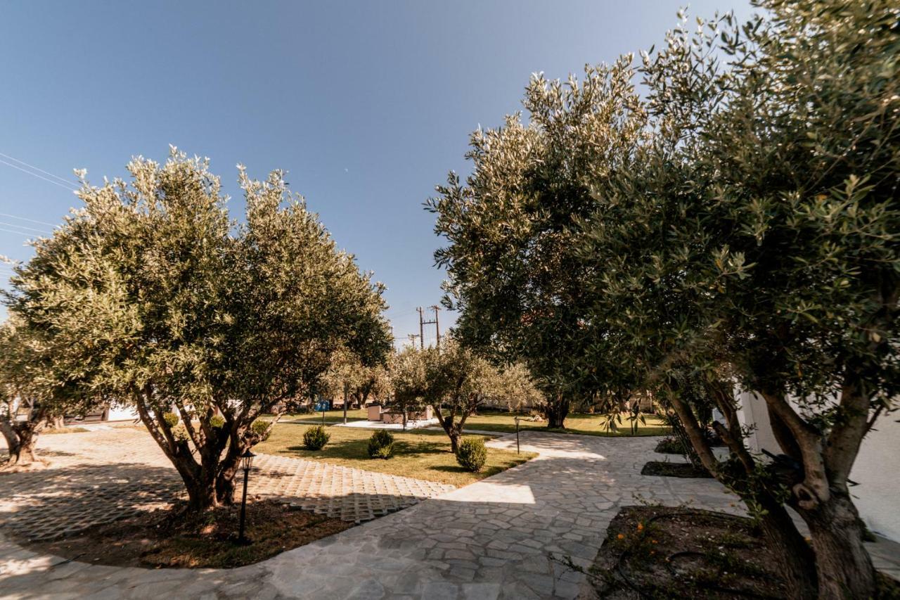 Cyclades Luxury Studios Néa Potídea Kültér fotó